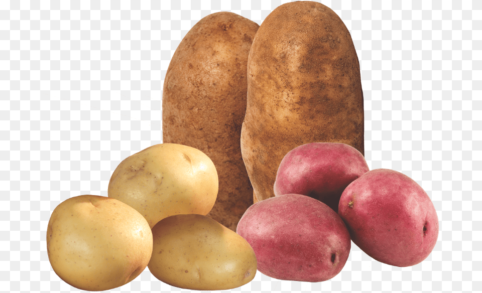 Tuber, Food, Plant, Potato, Produce Free Png