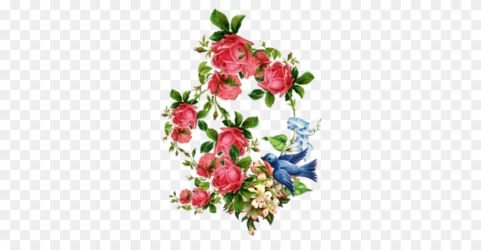Tubes, Rose, Art, Plant, Floral Design Png Image