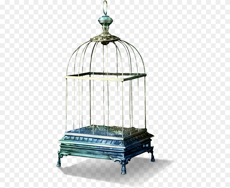 Tubes Bird Cage Image Cage Oiseaux Free Transparent Png