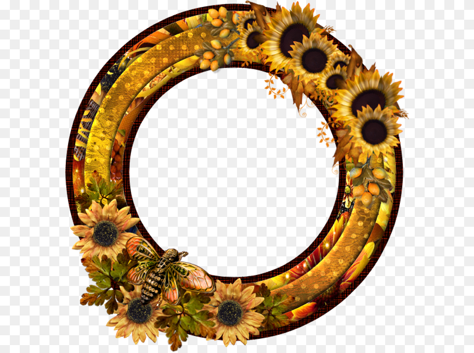 Tubes Cadrespng Circle, Flower, Plant, Sunflower, Accessories Png