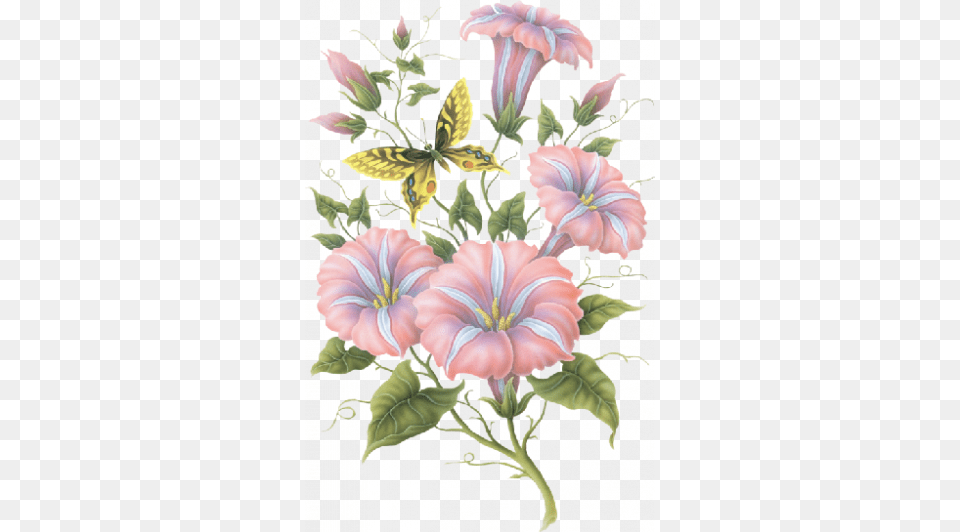 Tubes De Kore Amistad Es Como Las Flores, Flower, Plant, Pattern, Hibiscus Png