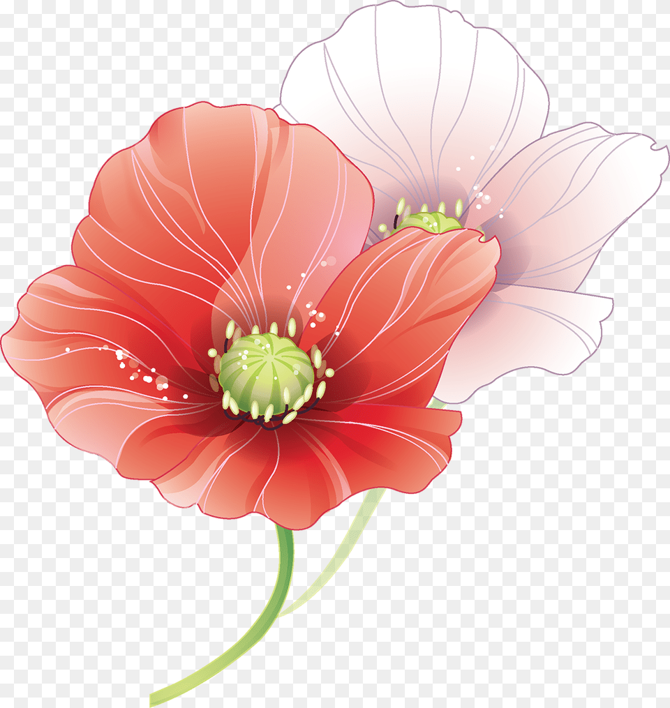 Tubes Fleurs Coquelicots Wedding Vector, Anther, Dahlia, Flower, Plant Free Png Download
