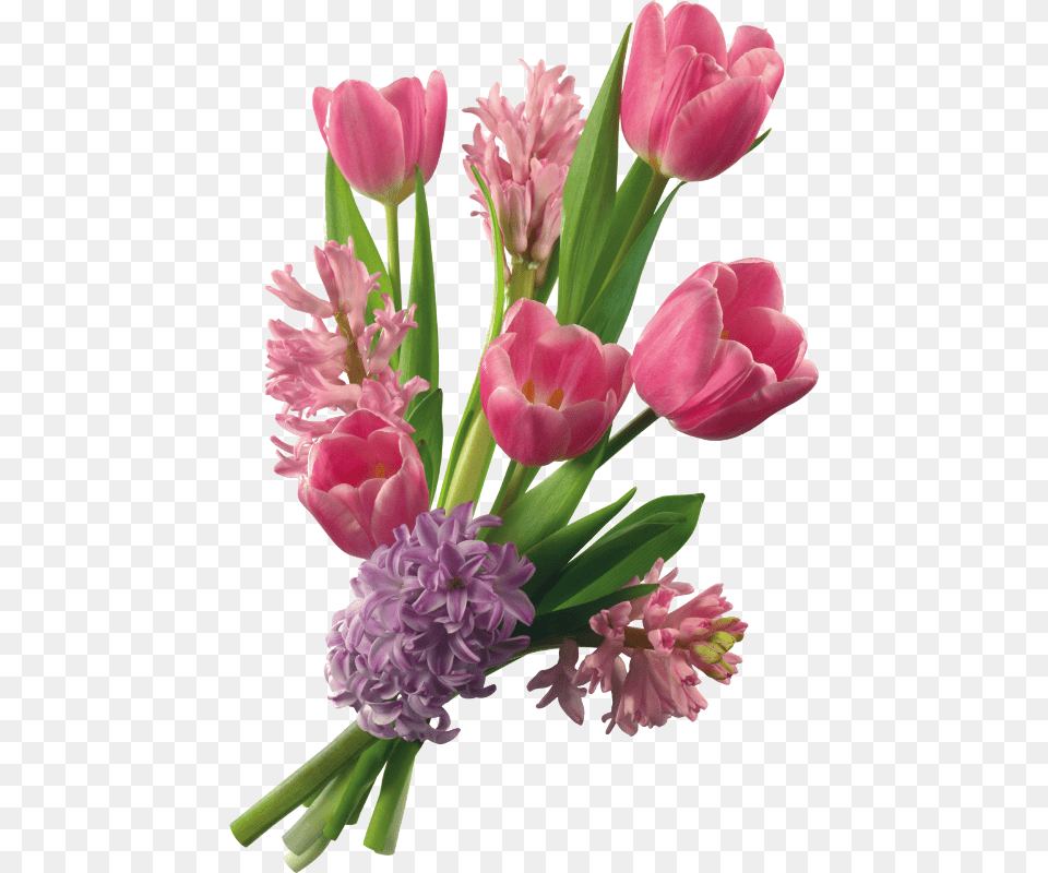 Tubes Flores Pgina 43 Background Shradhanjali Flower, Flower Arrangement, Flower Bouquet, Plant, Rose Free Png