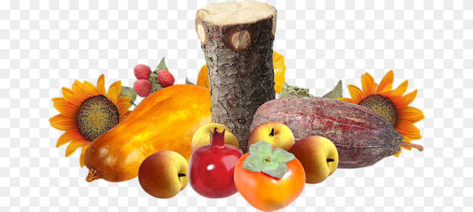 Tubes Fruitstubes Legumesclipartpng Fruitpspvector Mcintosh, Food, Fruit, Plant, Produce Png Image