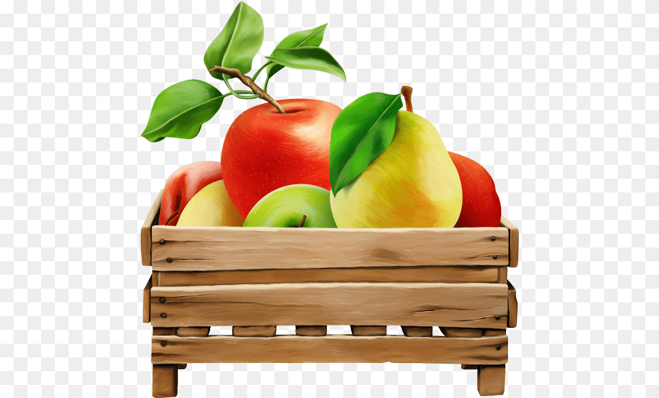 Tubes Fruitstubes Legumesclipartpng Fruitpspvector Tangelo, Food, Fruit, Plant, Produce Png Image
