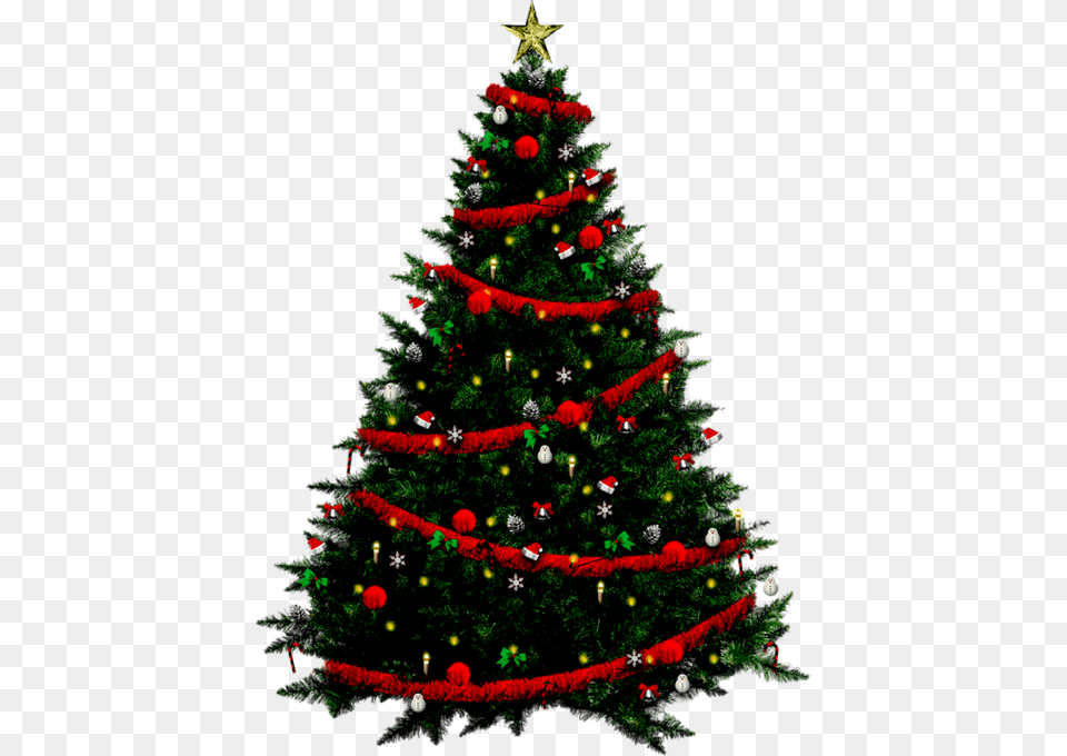 Tubes Sapins De Noeltubes Sapins De Noel, Plant, Tree, Christmas, Christmas Decorations Free Transparent Png