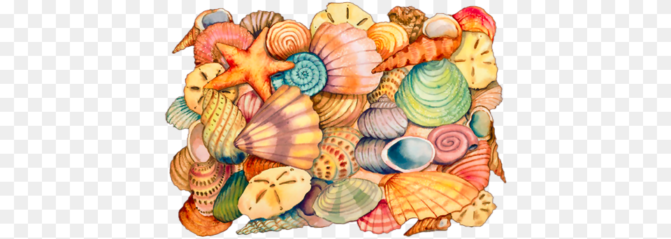 Tubes Sea Shells Bag Adult Unisex Natural, Animal, Seafood, Sea Life, Invertebrate Free Png Download