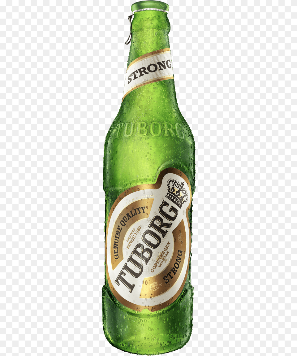 Tuborg Strong Tuborg Strong Premium Beer, Alcohol, Beer Bottle, Beverage, Bottle Png