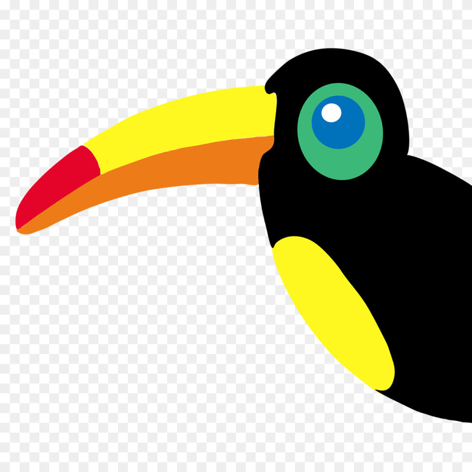 Tucan, Animal, Beak, Bird, Person Free Png Download