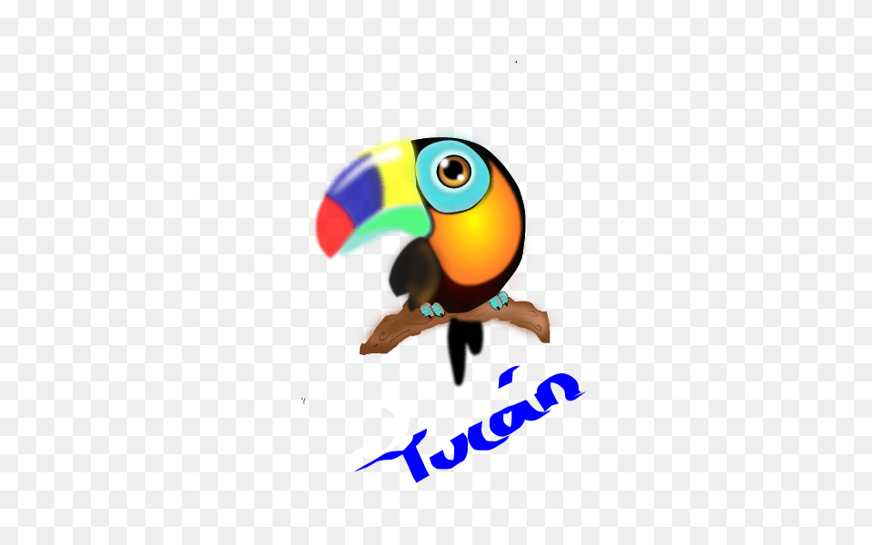 Tucan Colombiano Clip Arts For Web, Animal, Beak, Bird, Toucan Free Transparent Png