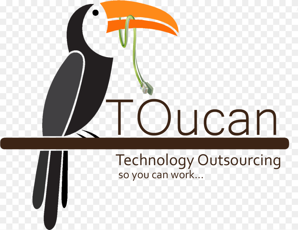 Tucan Vector Graphics, Animal, Beak, Bird, Toucan Free Png Download