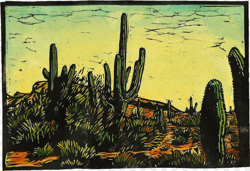 Tucson Arizona Hand Colored Linocut Size Of Paper Hedgehog Cactus Free Png Download