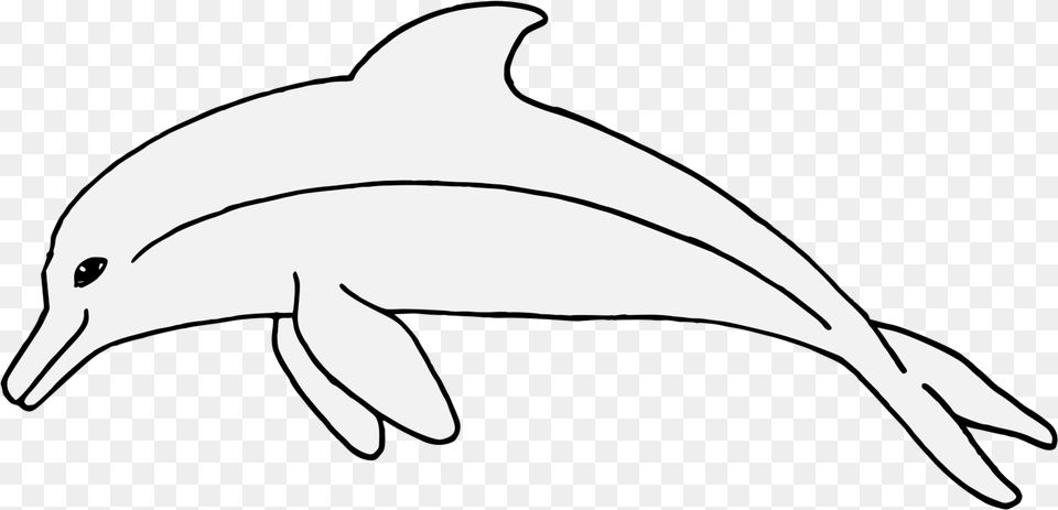 Tucuxi, Animal, Dolphin, Mammal, Sea Life Free Transparent Png