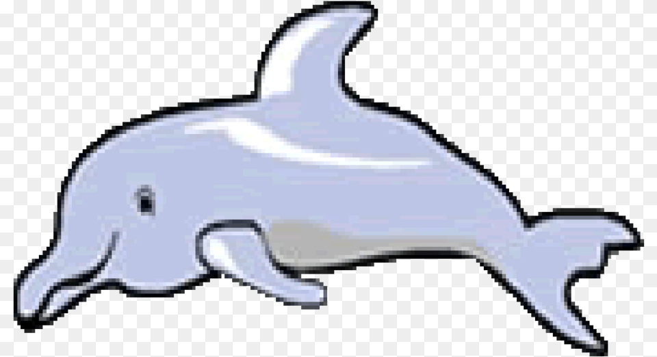 Tucuxi, Animal, Dolphin, Mammal, Sea Life Free Png Download