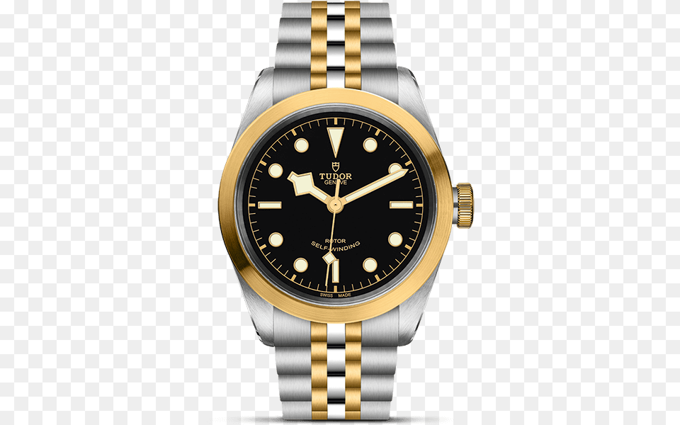 Tudor Black Bay 41 Gold, Arm, Body Part, Person, Wristwatch Free Png Download