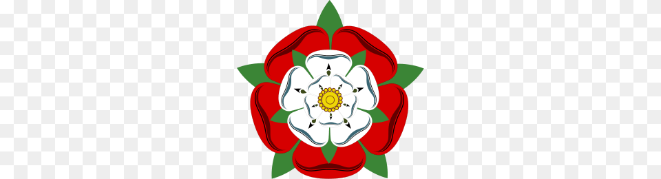 Tudor Rose, Anemone, Plant, Art, Graphics Png