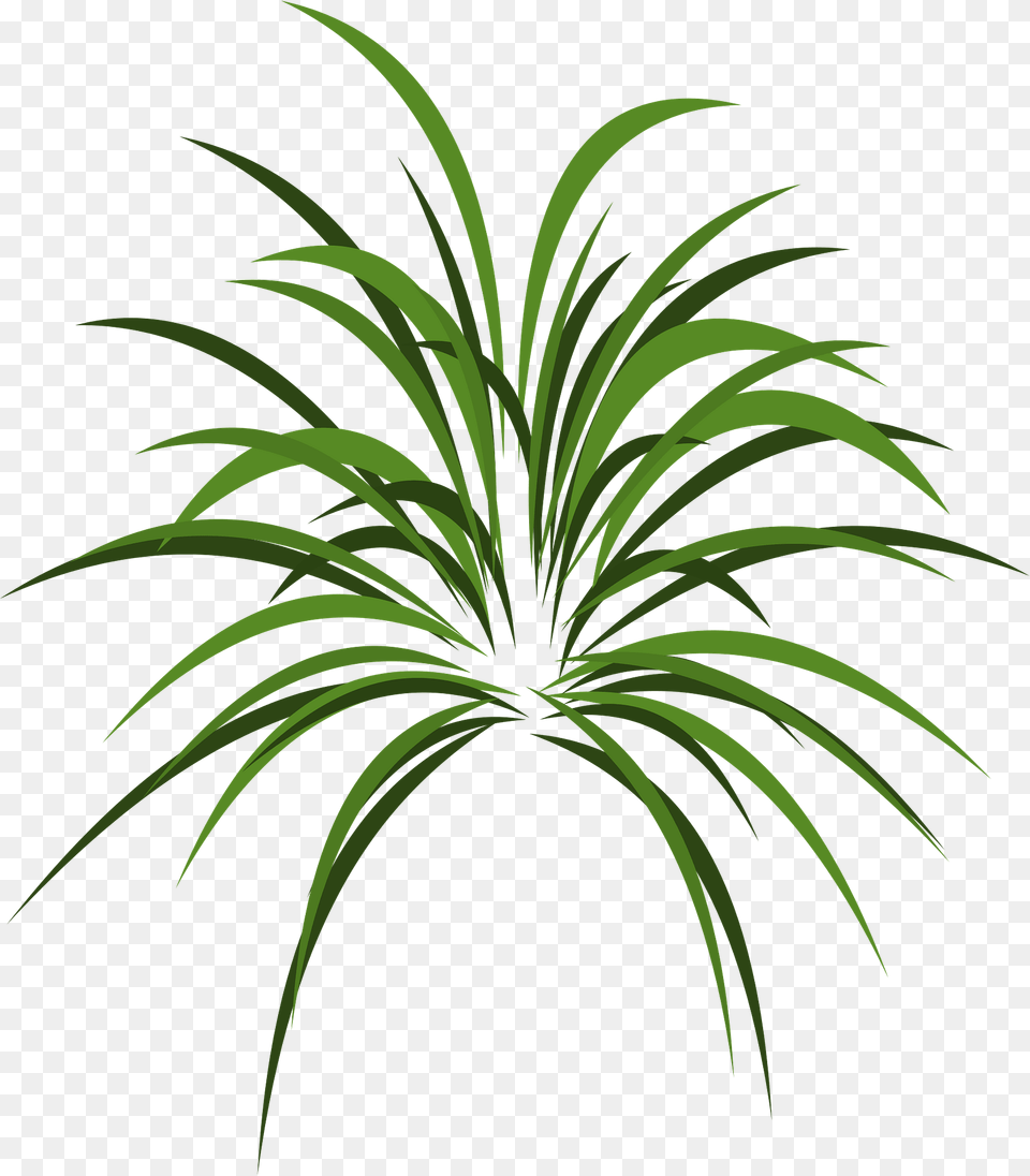 Tuffet Clipart, Grass, Green, Plant, Vegetation Png