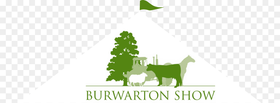 Tug Of War Shropshire County Show 2018, Triangle, Animal, Livestock, Mammal Free Png