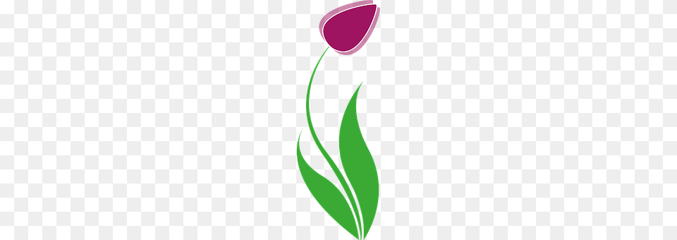 Tulip Flower, Plant, Petal, Smoke Pipe Png