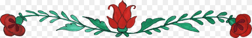 Tulip, Flower, Plant, Rose, Acanthaceae Free Transparent Png