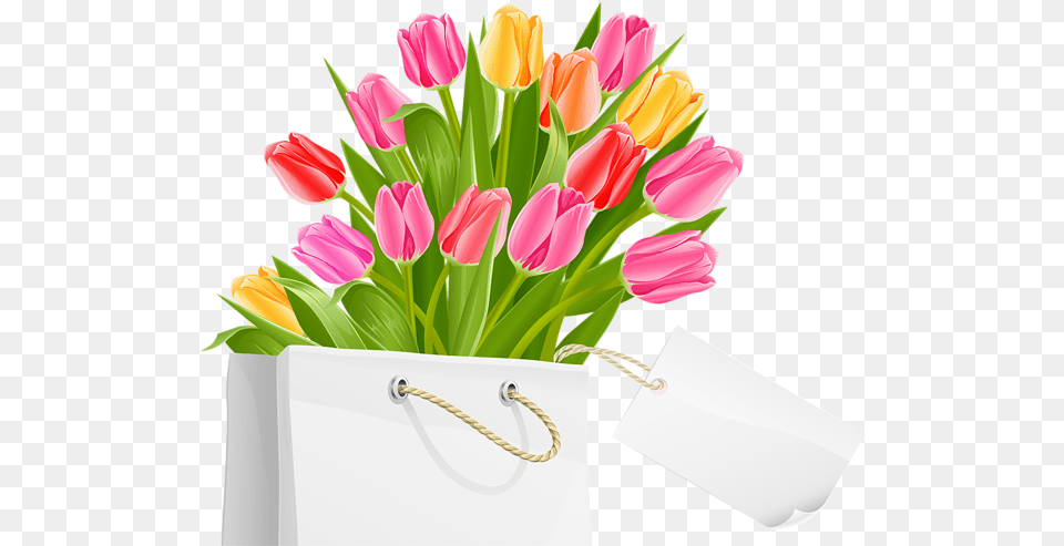 Tulip, Bag, Flower, Flower Arrangement, Flower Bouquet Free Png