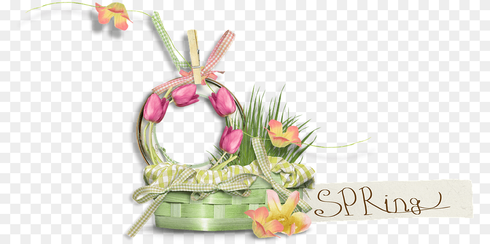 Tulip, Art, Floral Design, Flower, Flower Arrangement Free Png