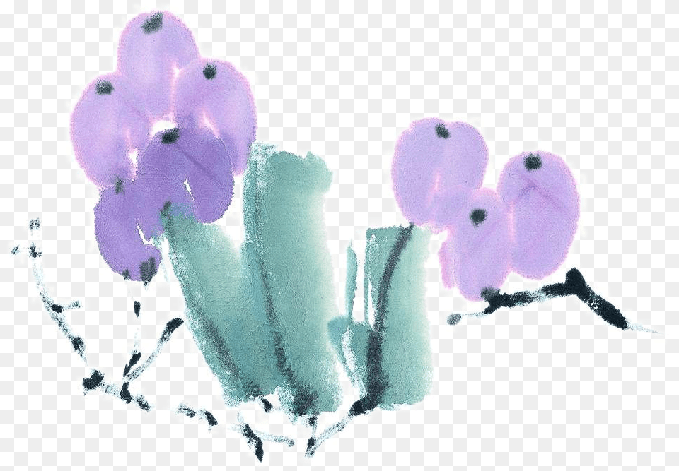 Tulip, Ice, Purple, Flower, Plant Free Png