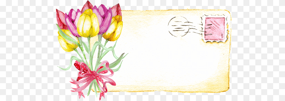 Tulip Envelope, Mail, Plant, Greeting Card Free Png Download
