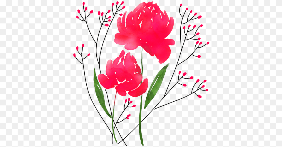 Tulip, Flower, Plant, Carnation, Pattern Free Png Download