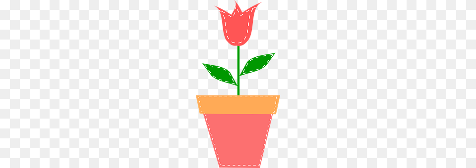 Tulip Plant, Flower, Leaf, Pottery Free Png