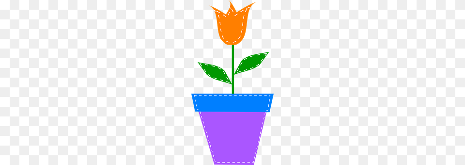 Tulip Flower, Leaf, Plant, Rose Free Png