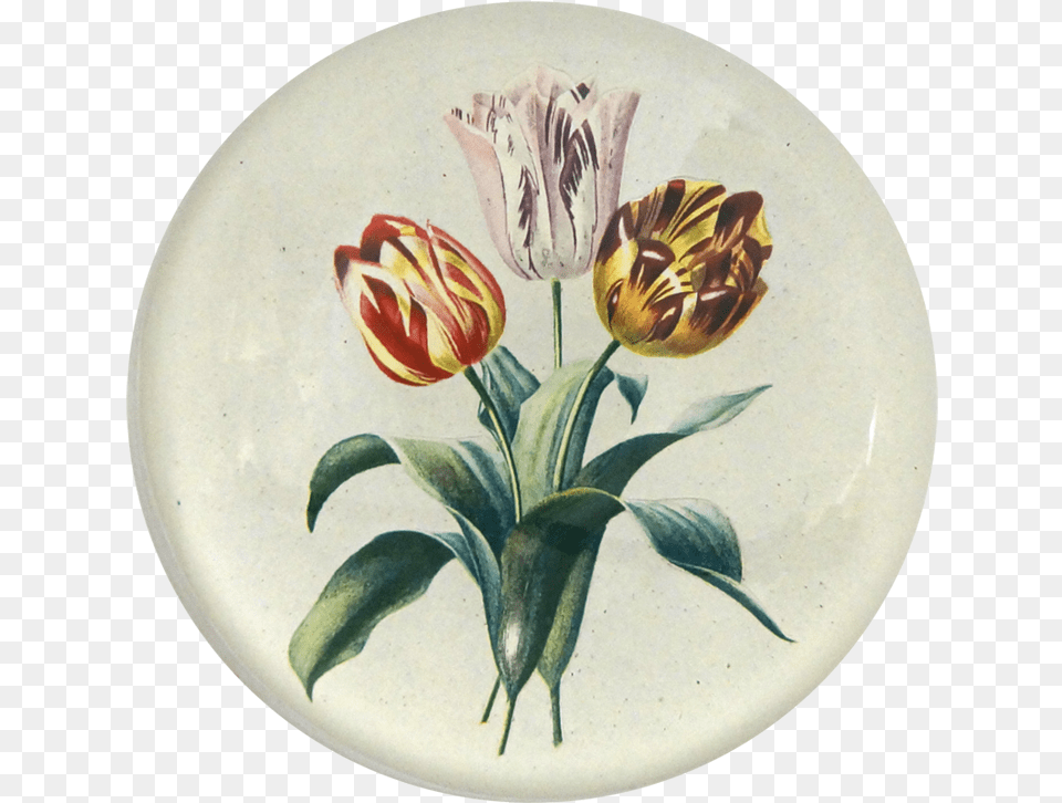 Tulip, Art, Dish, Pottery, Food Png Image