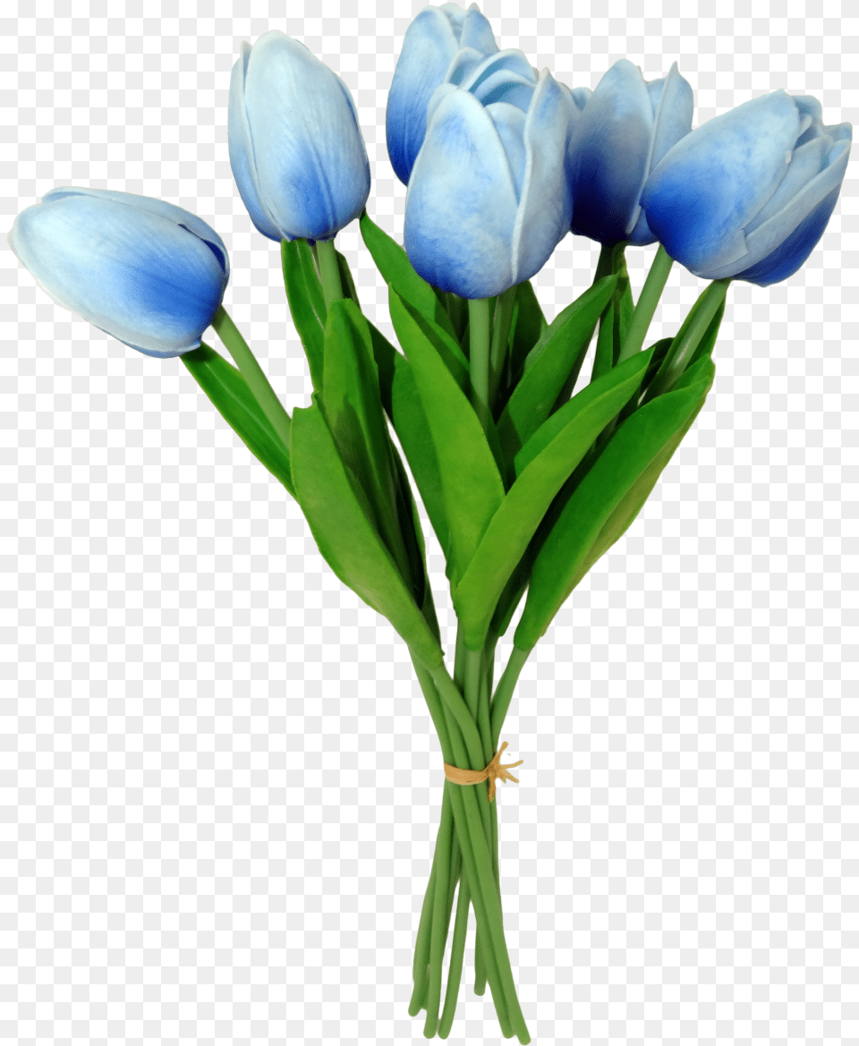 Tulip, Flower, Flower Arrangement, Flower Bouquet, Plant Free Transparent Png