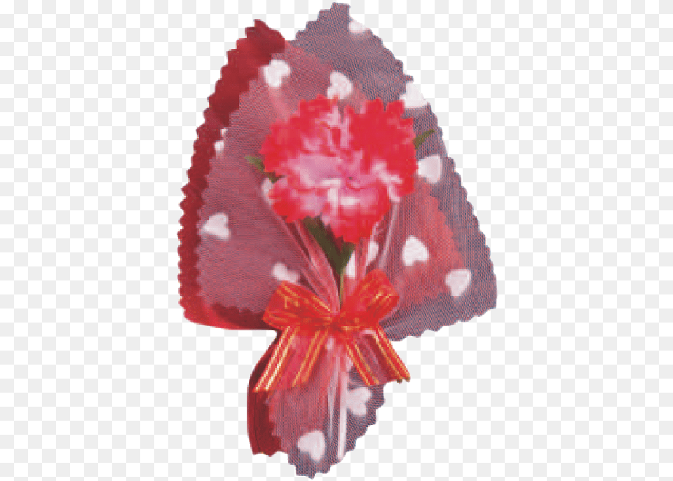 Tulip, Carnation, Flower, Flower Arrangement, Flower Bouquet Free Png Download