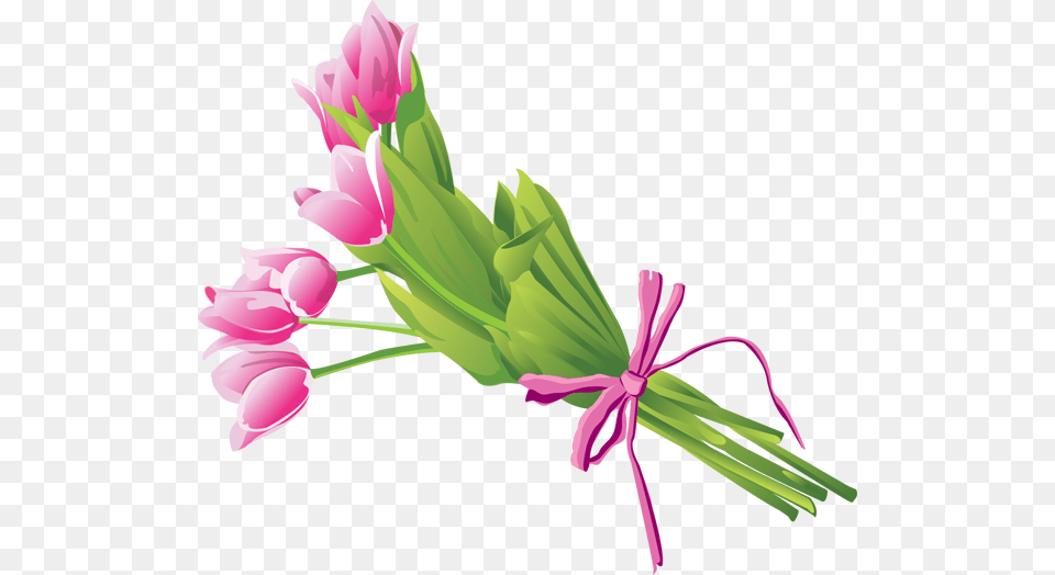 Tulip Bouquet Clip Art Image, Floral Design, Graphics, Pattern, Flower Free Transparent Png