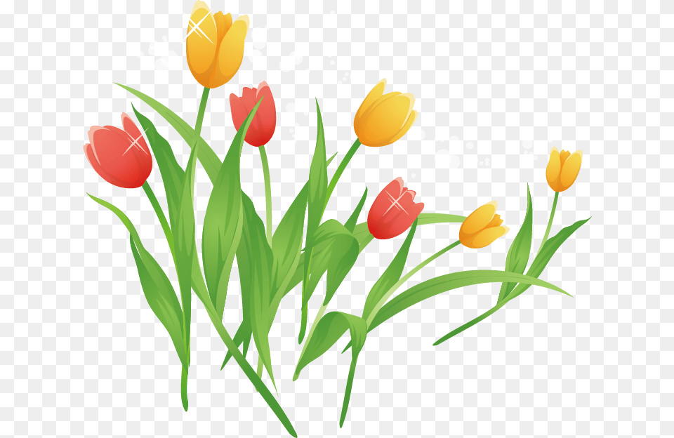 Tulip Cartoon Clip Art Tulip Cartoon, Flower, Plant Free Transparent Png