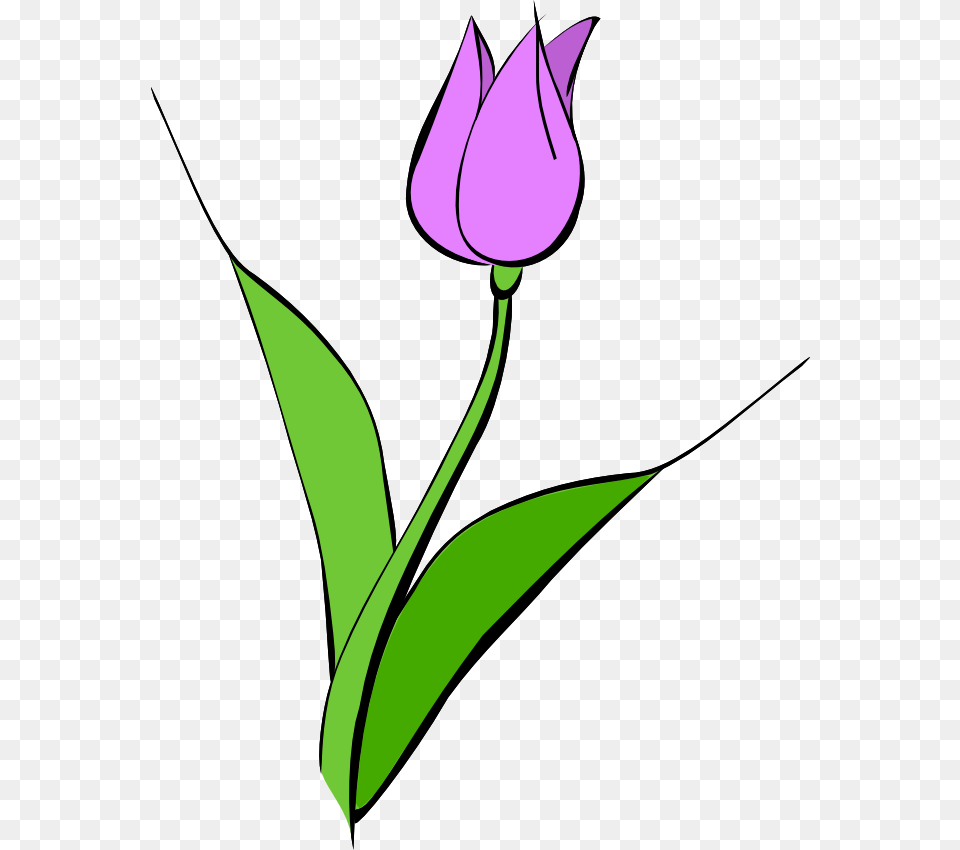 Tulip Clip Art, Flower, Plant, Bow, Weapon Free Transparent Png
