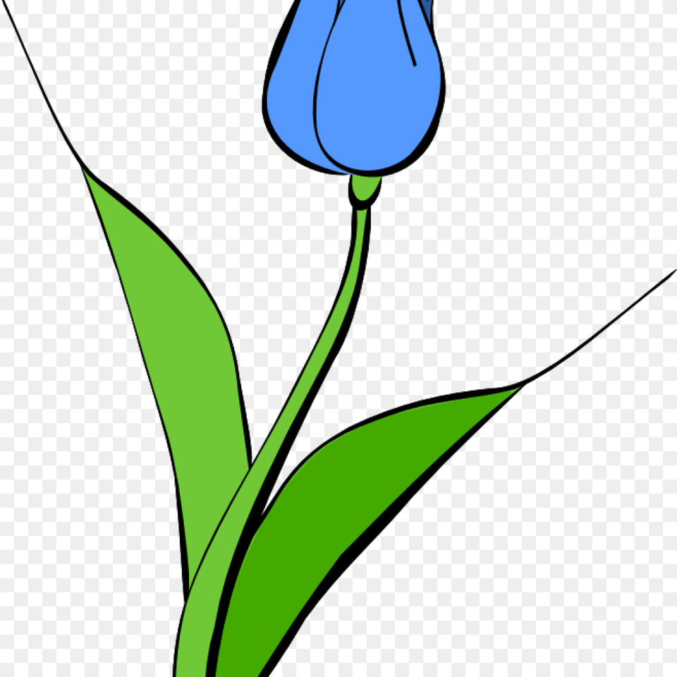Tulip Clip Art Clipart, Flower, Plant, Bud, Sprout Free Transparent Png