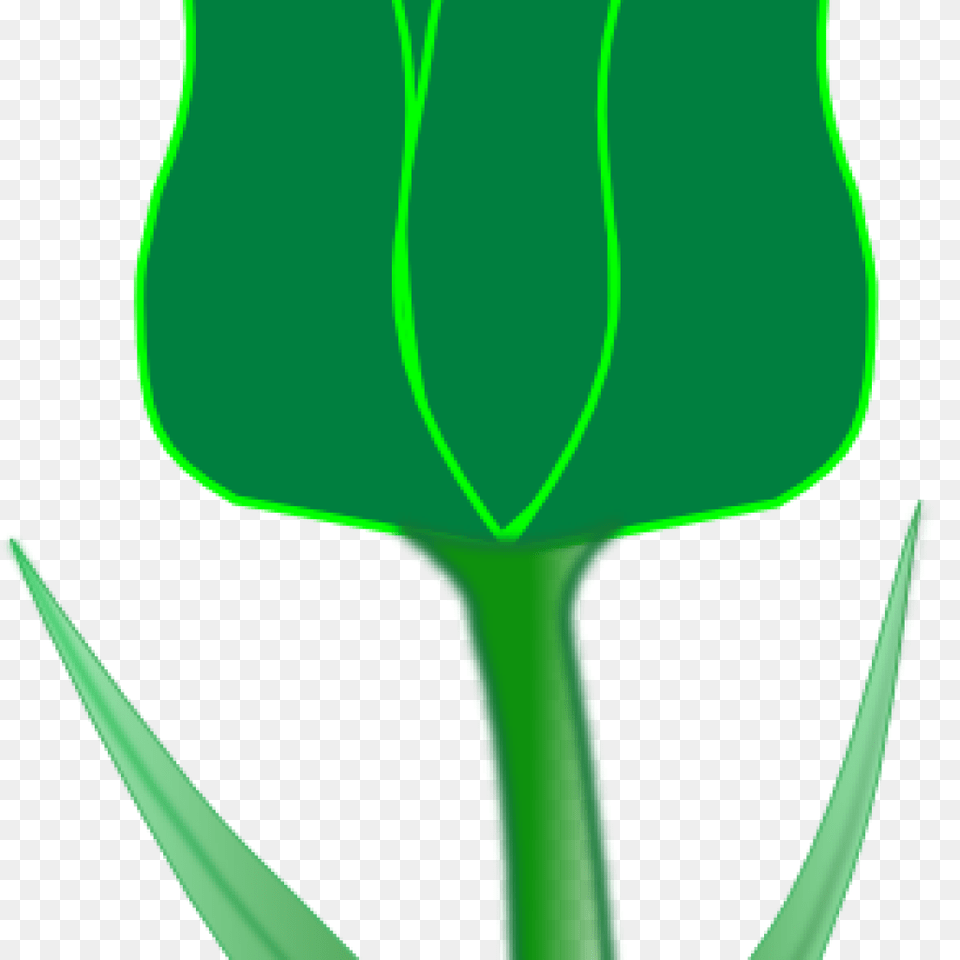 Tulip Clip Art Clipart Download, Flower, Leaf, Plant, Bud Free Transparent Png