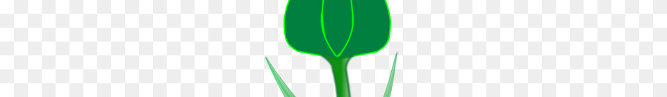 Tulip Clip Art Large Tulip Clipart Clipart Free Clipart Download, Bud, Flower, Sprout, Plant Png