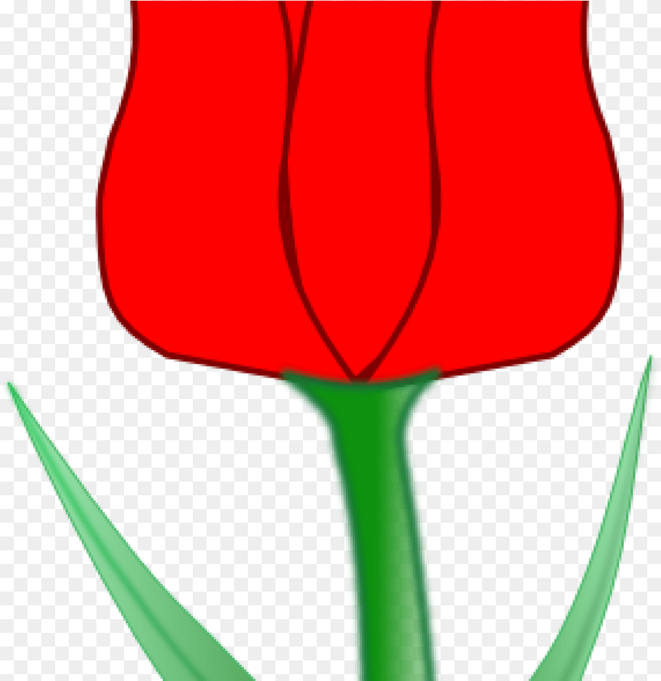 Tulip Clip Art Tulip Clip Art At Clker Vector Clip, Flower, Plant, Petal, Person Png