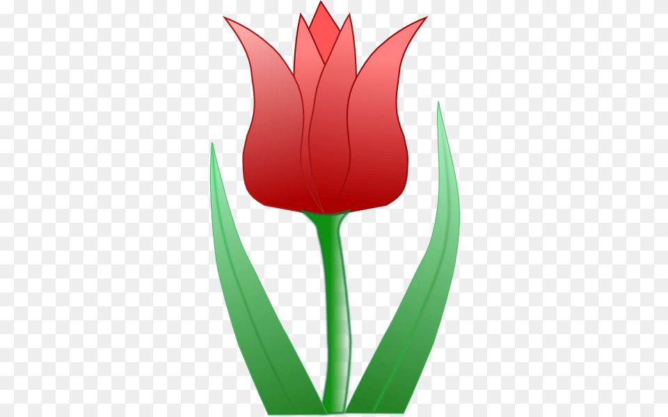 Tulip Clip Arts For Web Clip Arts Backgrounds Tulips Flower Clip Art, Plant, Petal Free Transparent Png