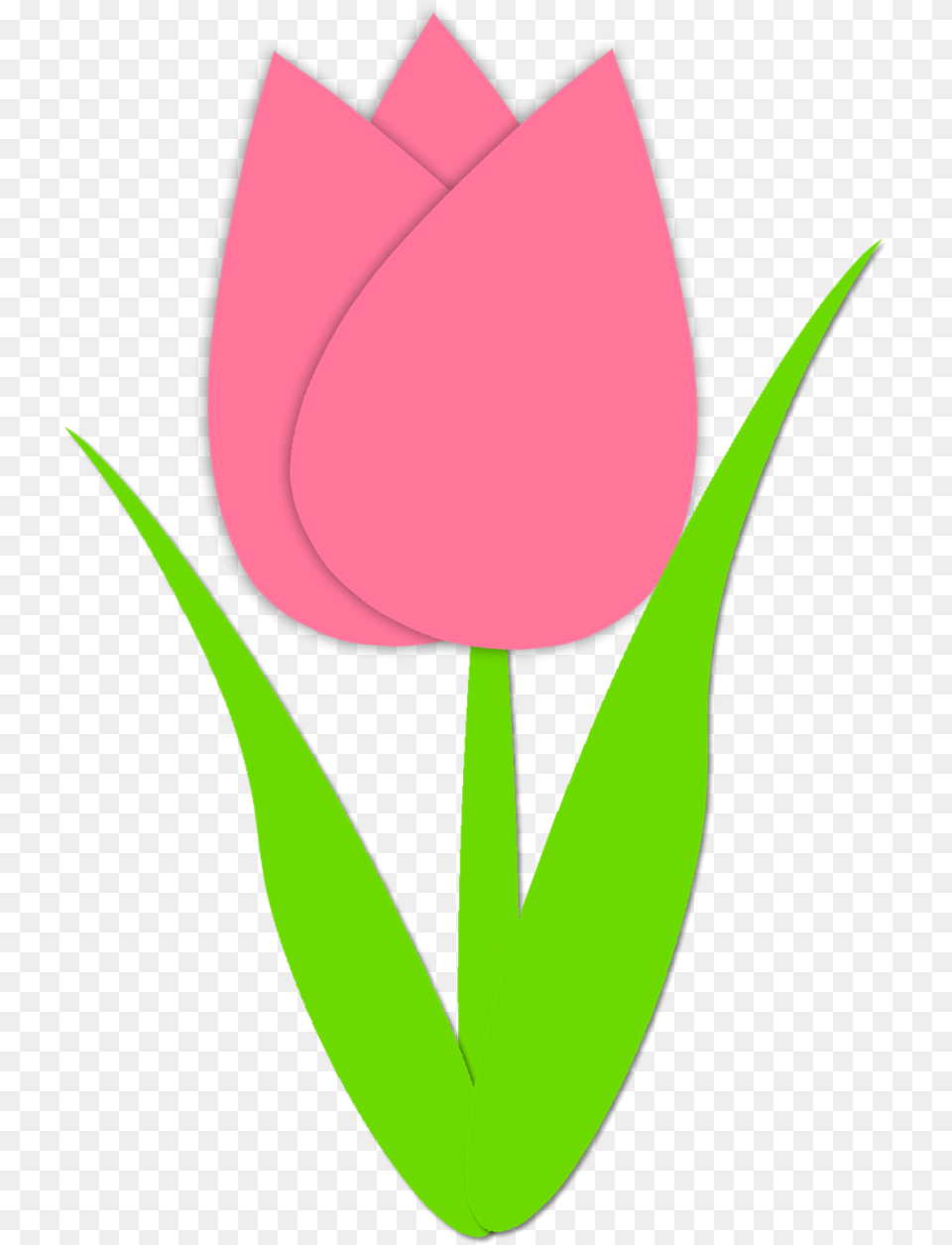 Tulip Clipart, Flower, Plant, Rose, Petal Png