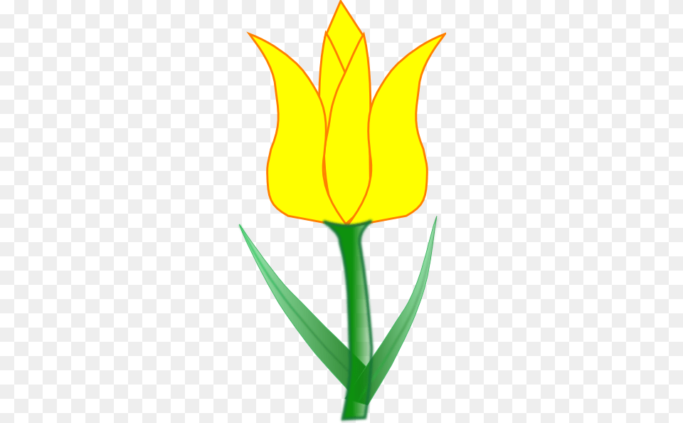 Tulip Clipart, Flower, Plant, Petal, Bow Free Transparent Png