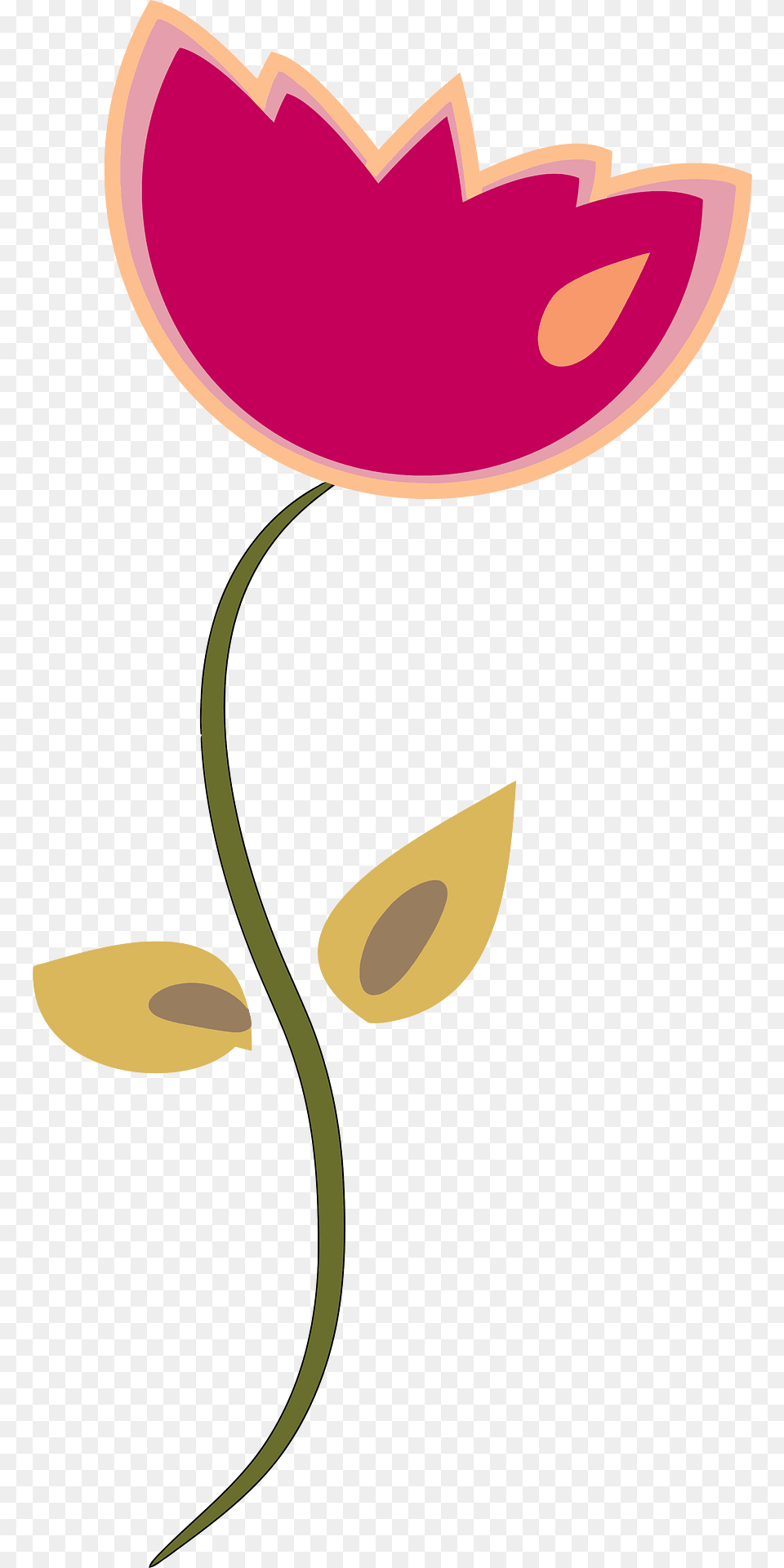 Tulip Clipart, Flower, Petal, Plant, Art Free Transparent Png