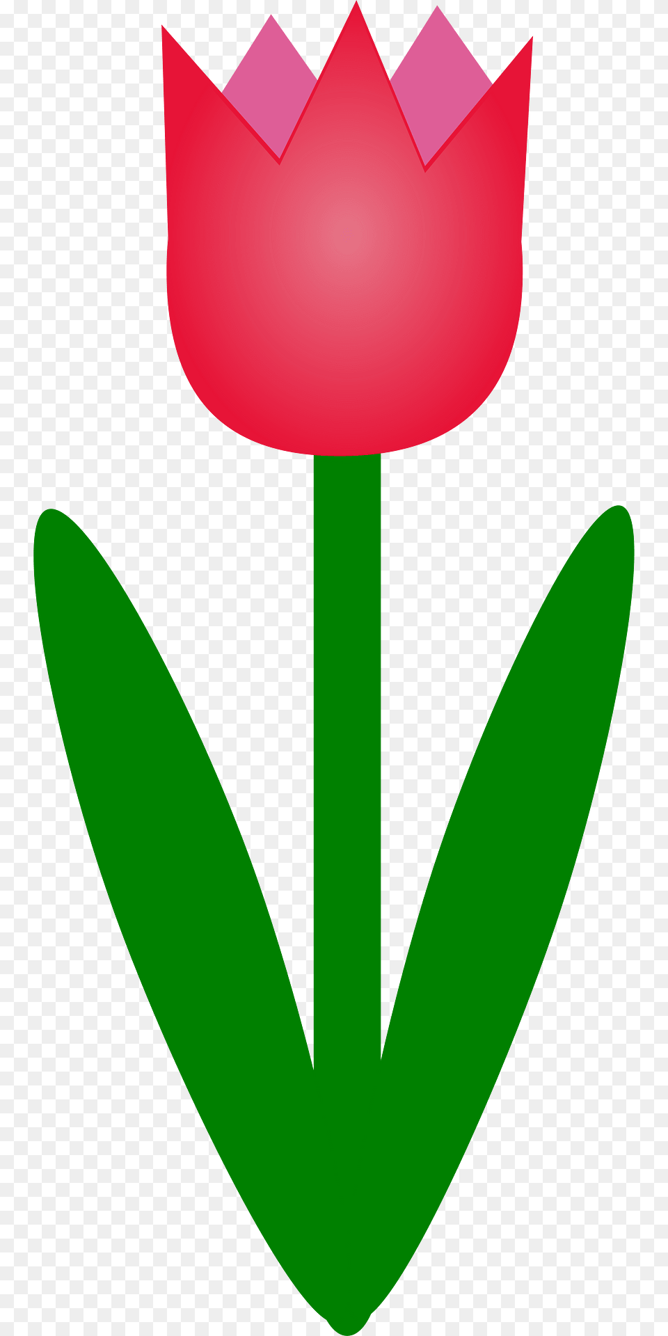 Tulip Clipart, Flower, Petal, Plant Free Png Download