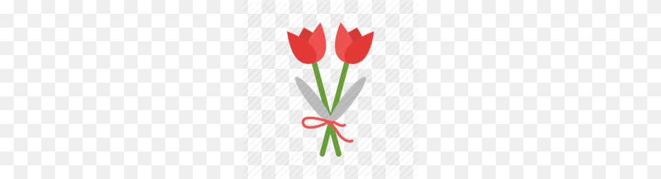 Tulip Clipart, Pattern, Plant, Flower, Petal Png