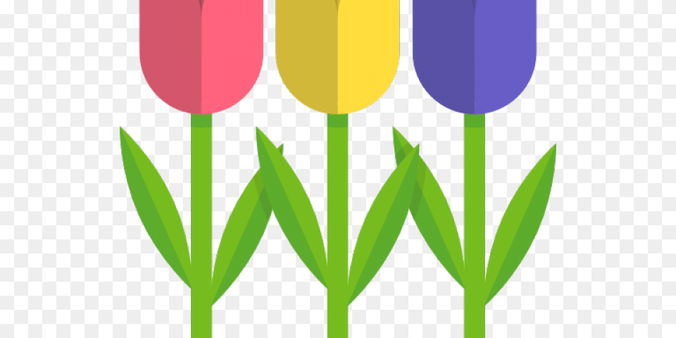 Tulip Clipart, Flower, Plant, Person, Food Free Png Download
