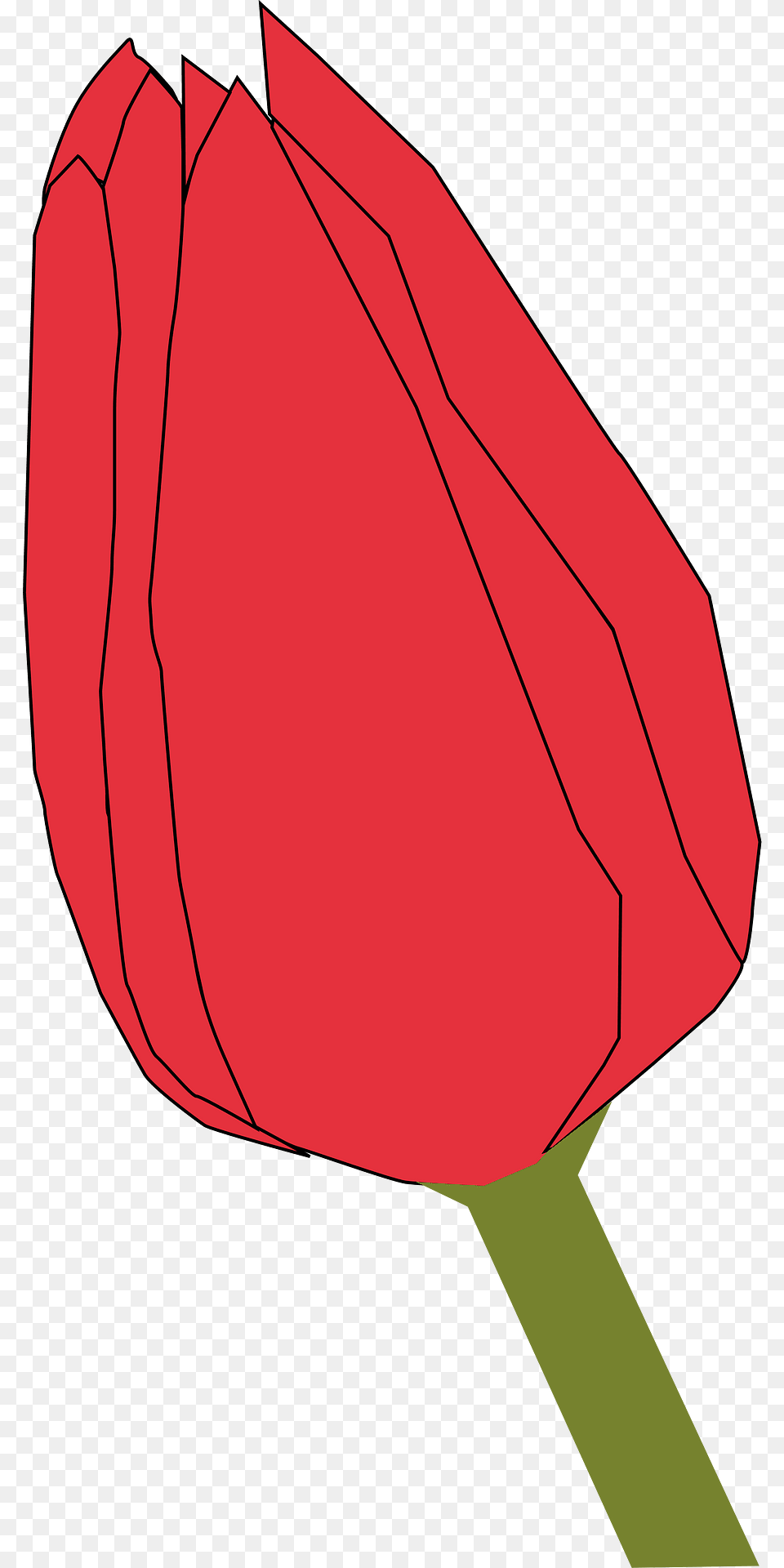 Tulip Clipart, Flower, Plant, Petal, Bow Png