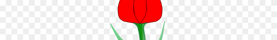 Tulip Clipart Blue Tulip Clipart School Clipart House Clipart, Flower, Plant, Person, Petal Free Png Download